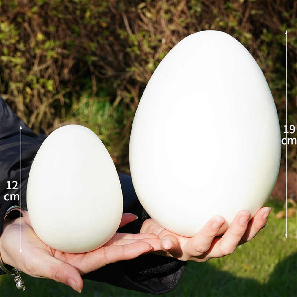 artificial bird eggs baby kids - Party Games Graduation ulasan dan harga
